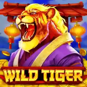 Play Wild Tiger slot by BGAMING on monro-at.at